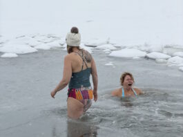 The brave, the fearless: Rotary takes the Polar Plunge