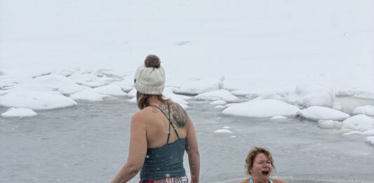 The brave, the fearless: Rotary takes the Polar Plunge