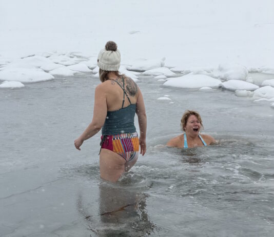 The brave, the fearless: Rotary takes the Polar Plunge