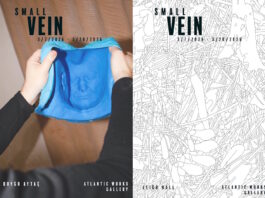 At Atlantic Works: “Small Vein”, works by Hall and Aytac