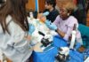 Photo gallery: What we saw at the East Boston High School’s STEAM event Saturday, May 9 Group of people in gloves conducting a hands-on science experiment at a table with microscopes and lab gear.