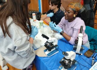 Photo gallery: What we saw at the East Boston High School’s STEAM event Saturday, May 9 Group of people in gloves conducting a hands-on science experiment at a table with microscopes and lab gear.