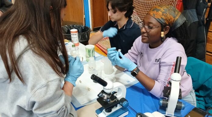 Photo gallery: What we saw at the East Boston High School’s STEAM event Saturday, May 9 Group of people in gloves conducting a hands-on science experiment at a table with microscopes and lab gear.