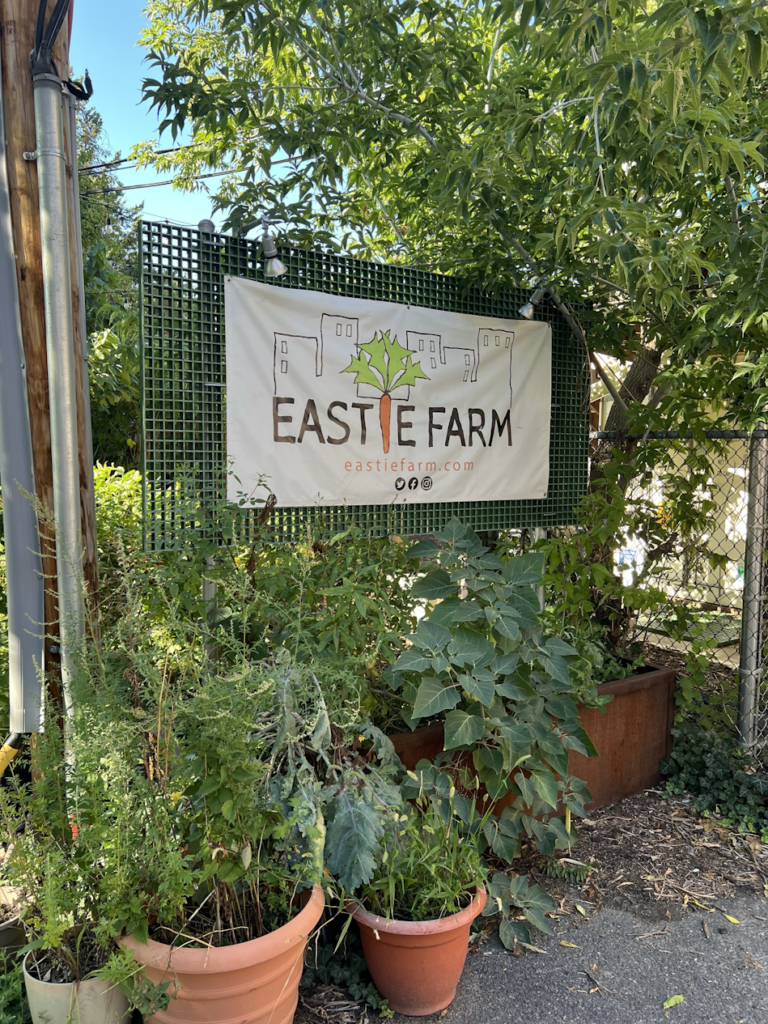 Eastie Farm East Boston