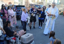 In honor of St. Francis: The blessing of pets