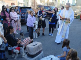 In honor of St. Francis: The blessing of pets