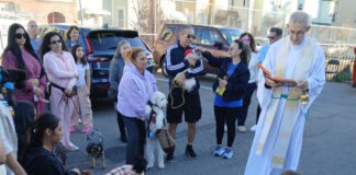 In honor of St. Francis: The blessing of pets