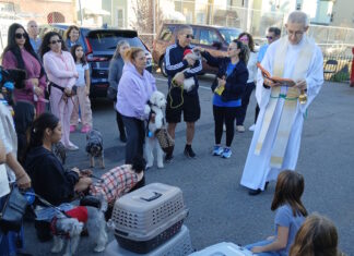 In honor of St. Francis: The blessing of pets