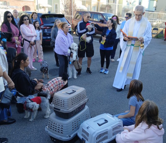 In honor of St. Francis: The blessing of pets